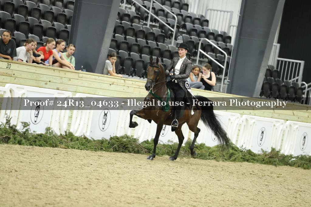 Proof 24R13_04633