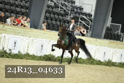 24R13_04633 proof