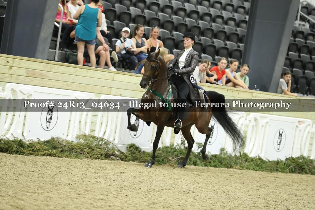Proof 24R13_04634