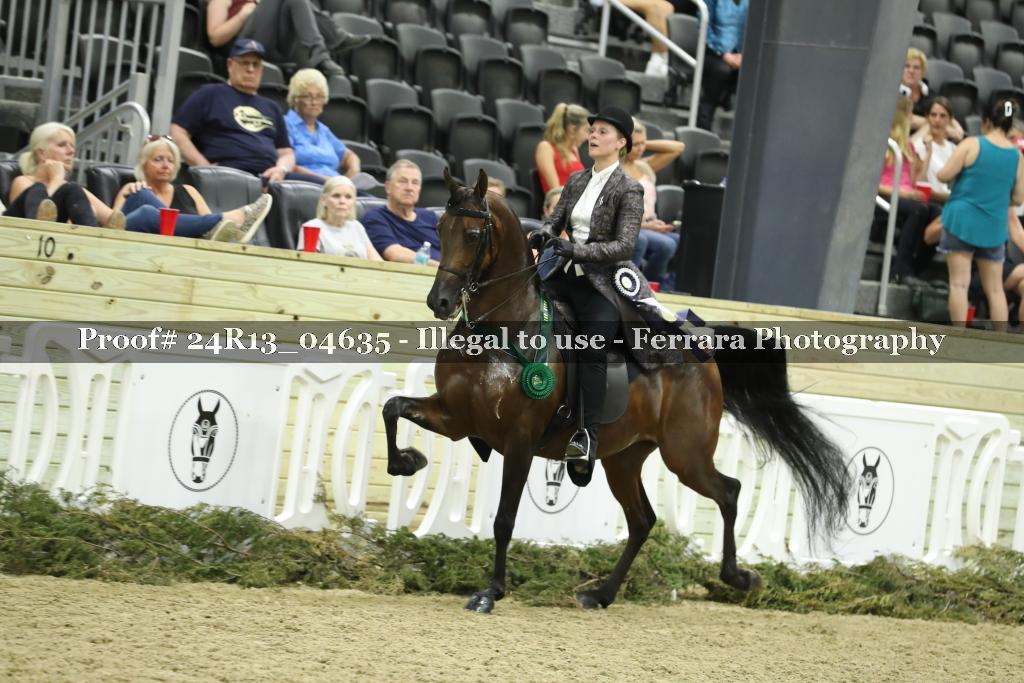 Proof 24R13_04635