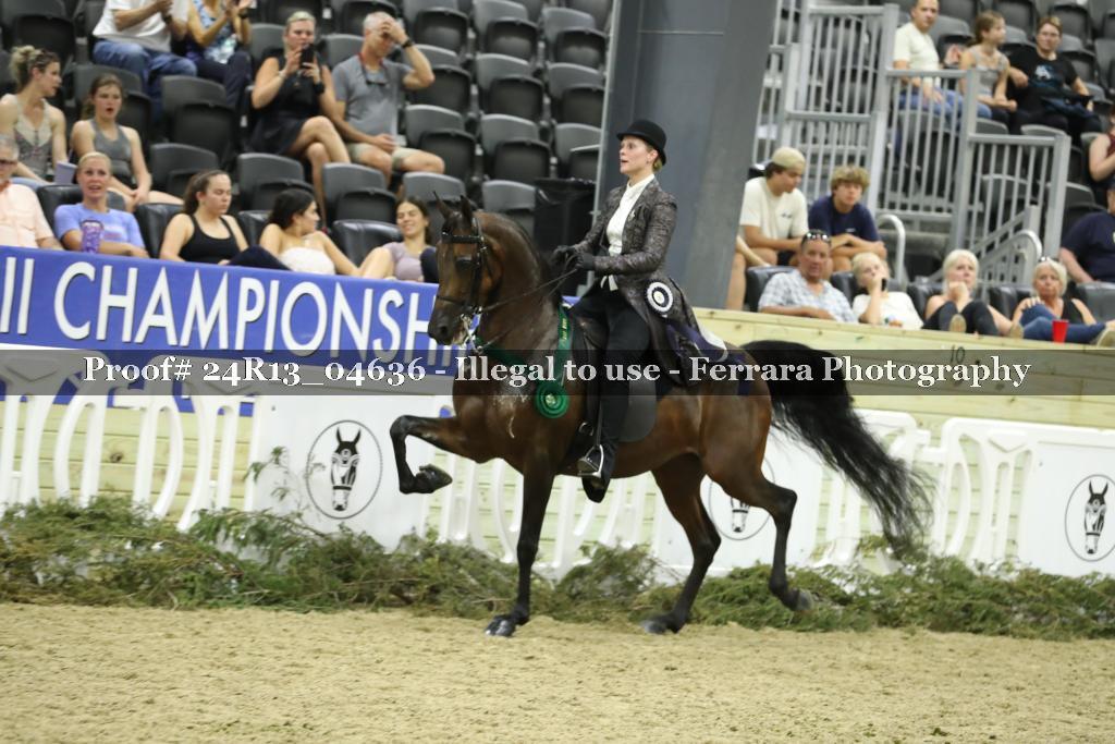 Proof 24R13_04636