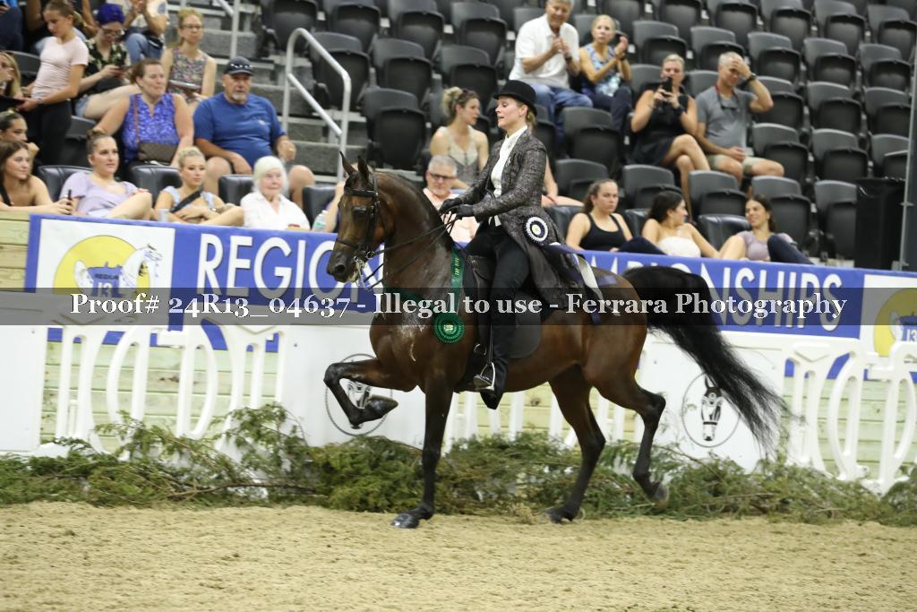 Proof 24R13_04637