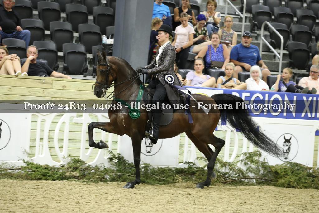 Proof 24R13_04638