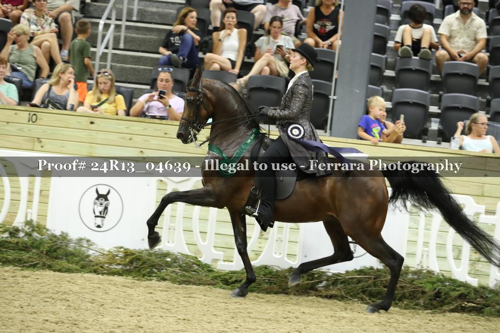 Proof 24R13_04639