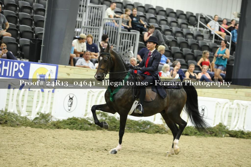 Proof 24R13_04641