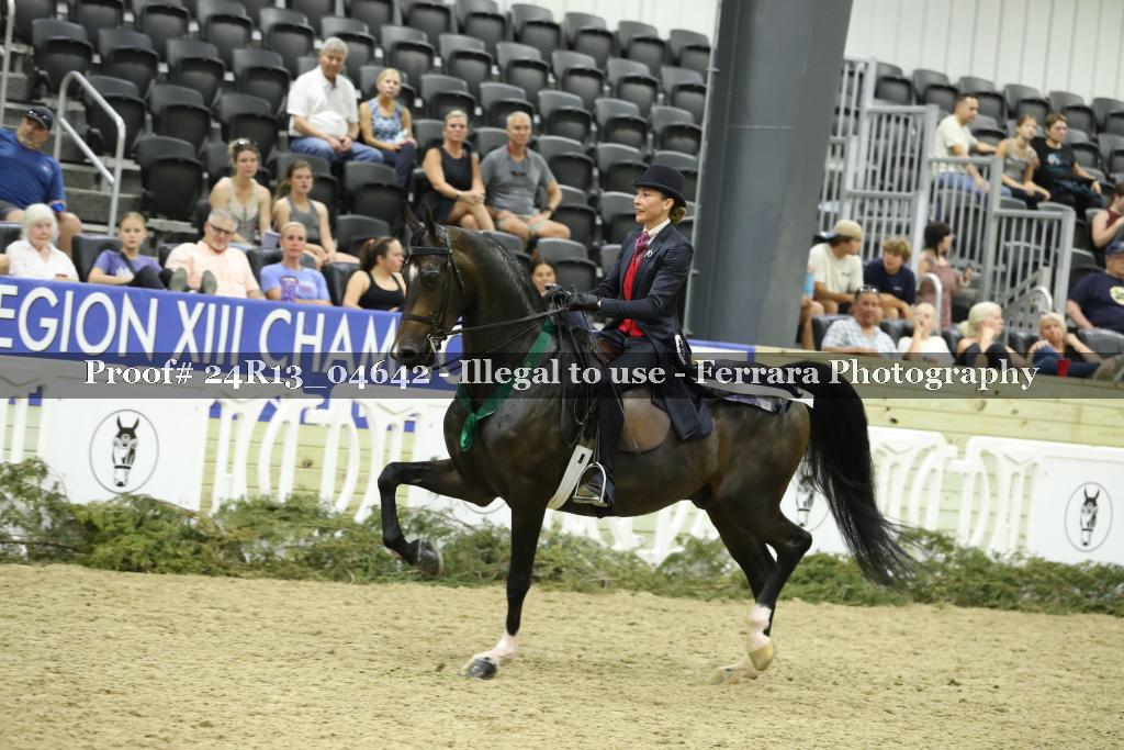Proof 24R13_04642