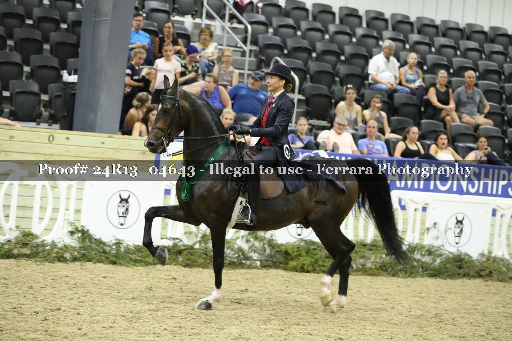 Proof 24R13_04643