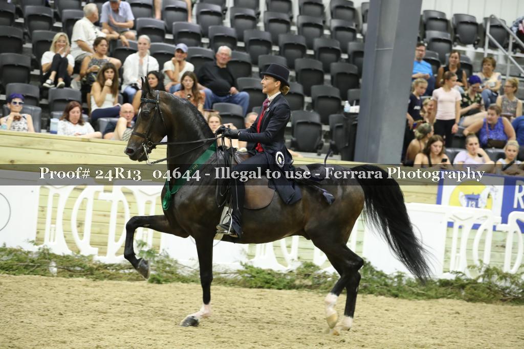 Proof 24R13_04644