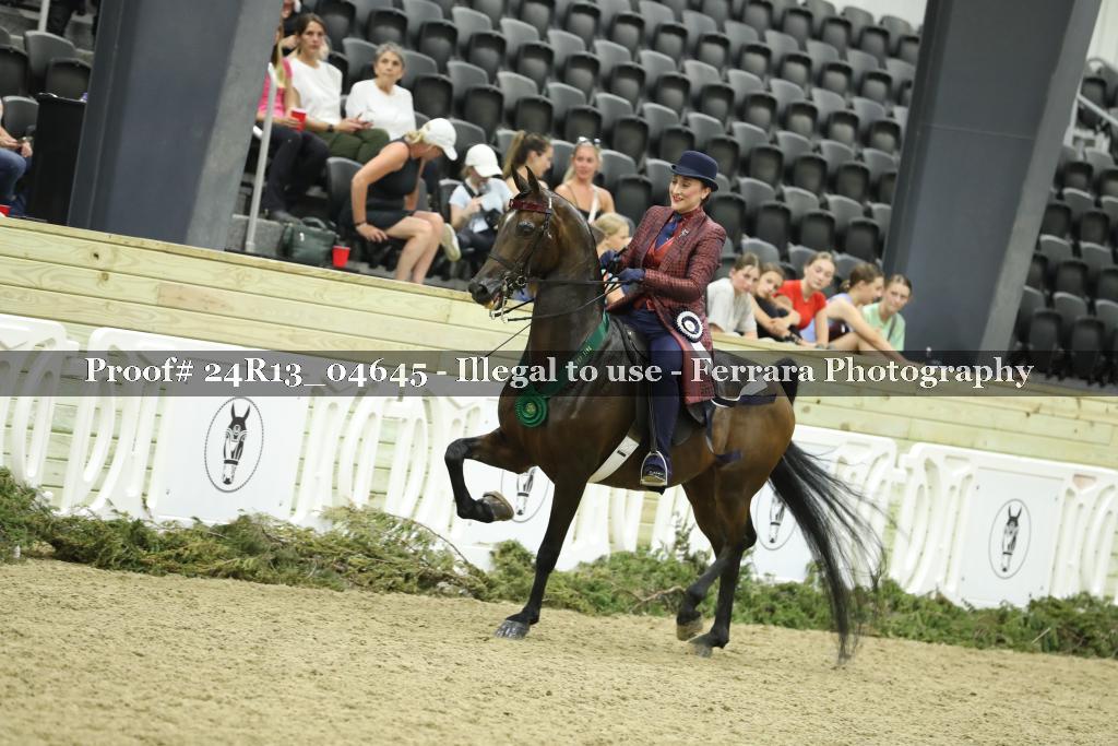 Proof 24R13_04645