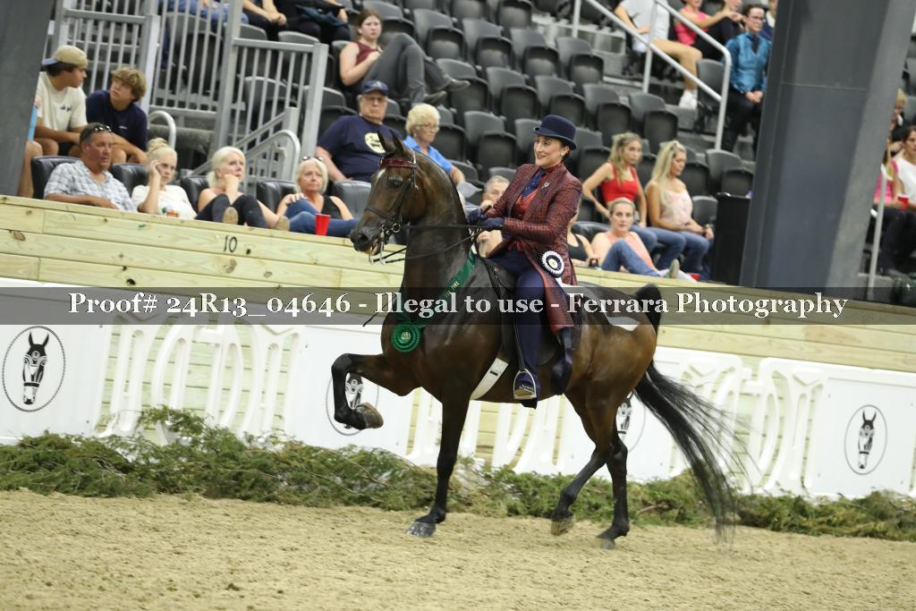 Proof 24R13_04646
