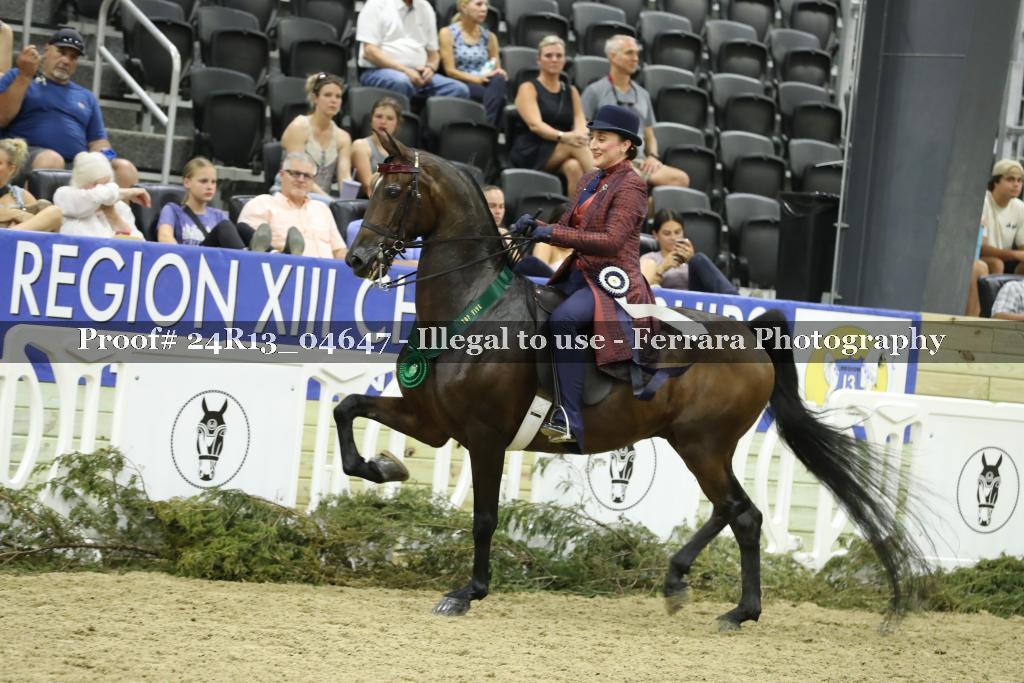 Proof 24R13_04647