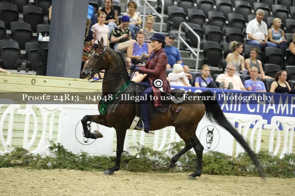 Proof 24R13_04648