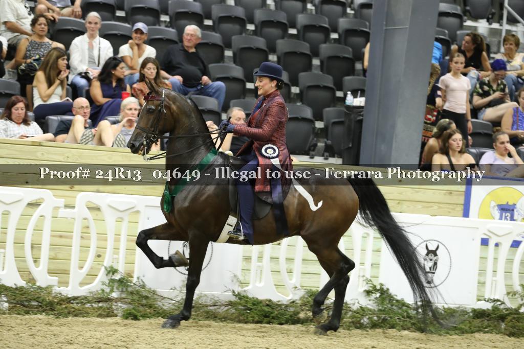 Proof 24R13_04649