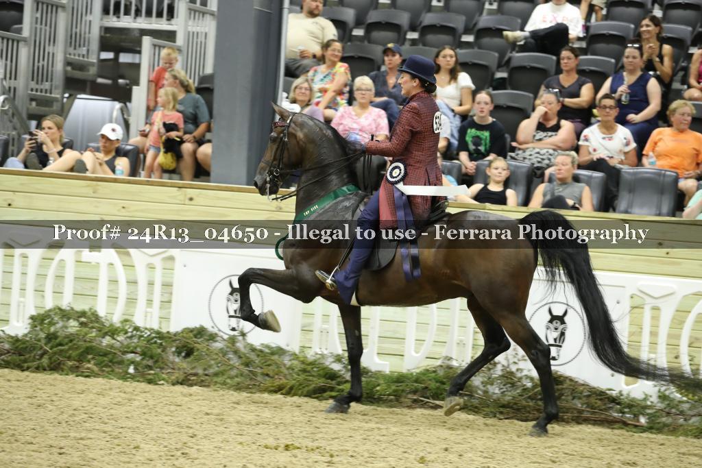 Proof 24R13_04650
