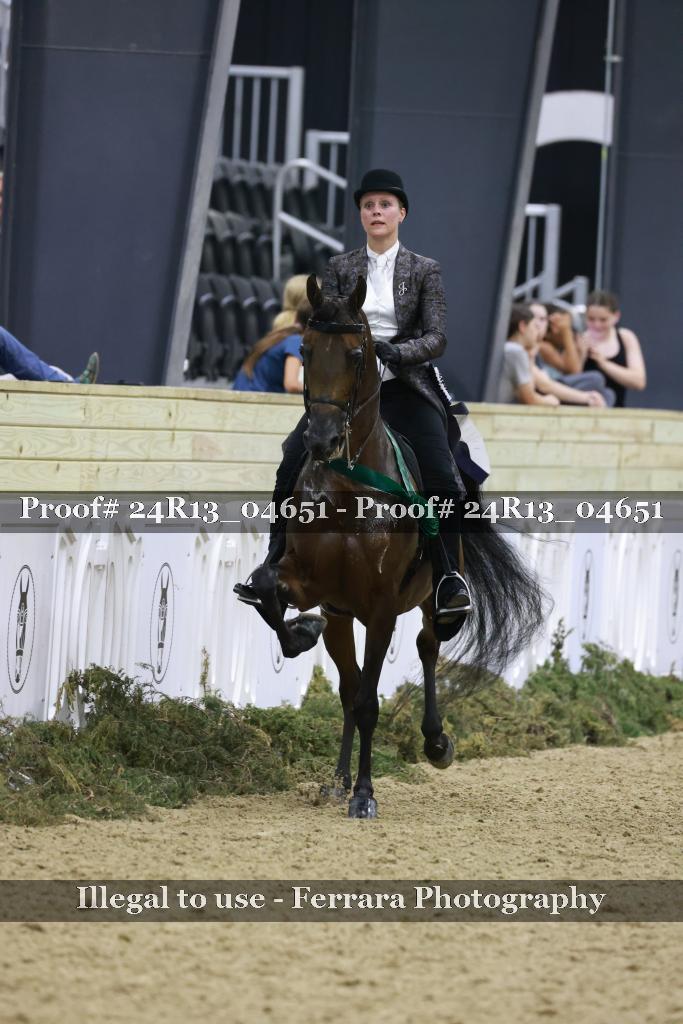 Proof 24R13_04651