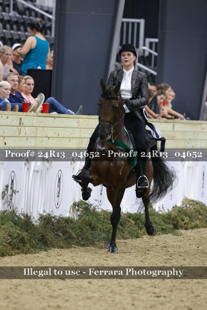 Proof 24R13_04652