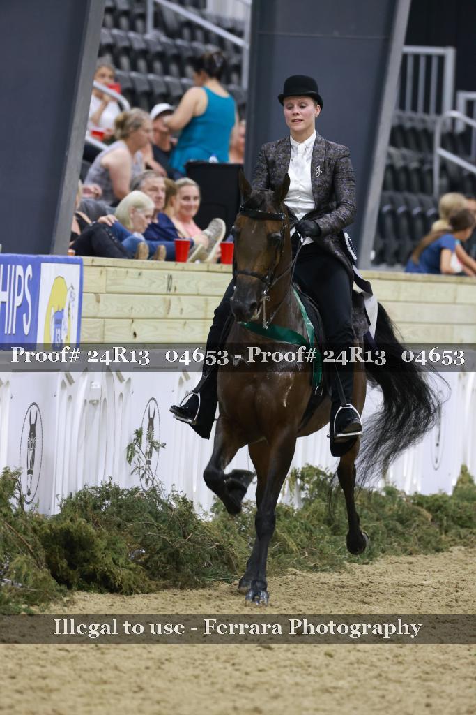 Proof 24R13_04653