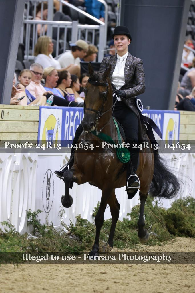 Proof 24R13_04654