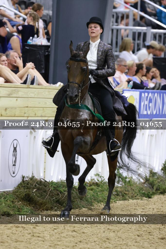 Proof 24R13_04655