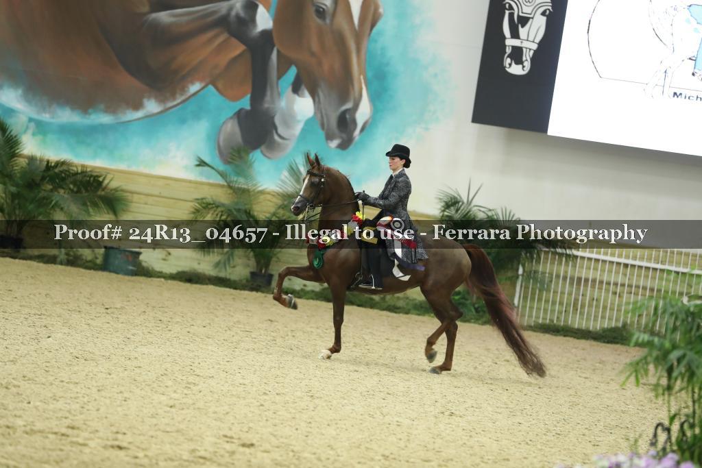 Proof 24R13_04657