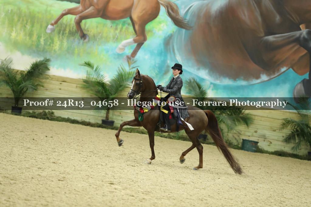 Proof 24R13_04658