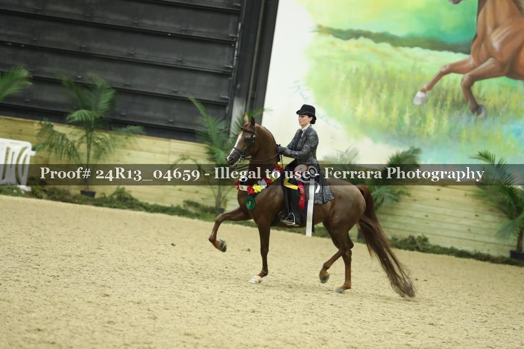 Proof 24R13_04659
