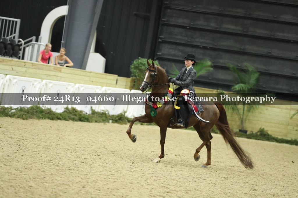 Proof 24R13_04660