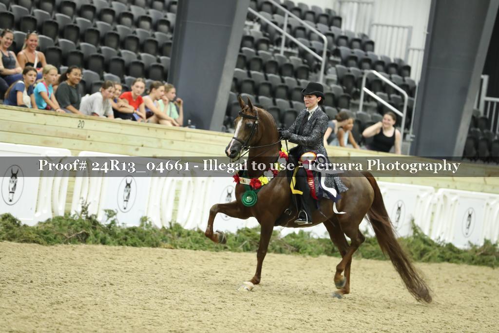 Proof 24R13_04661