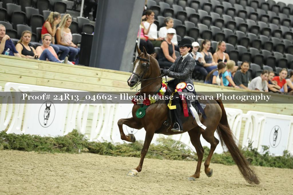 Proof 24R13_04662