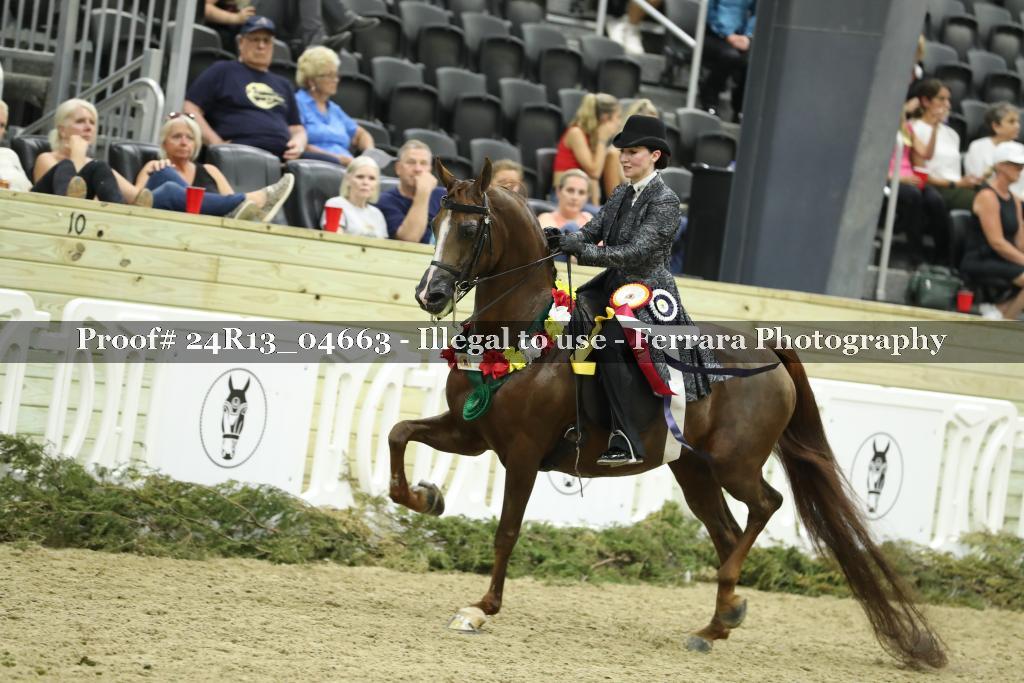 Proof 24R13_04663