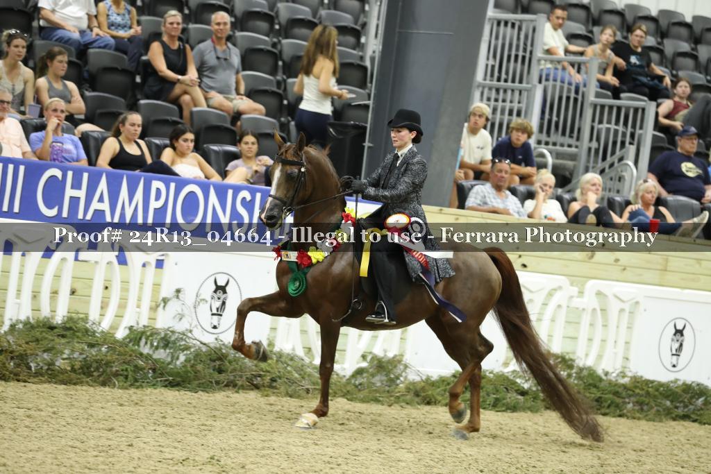 Proof 24R13_04664