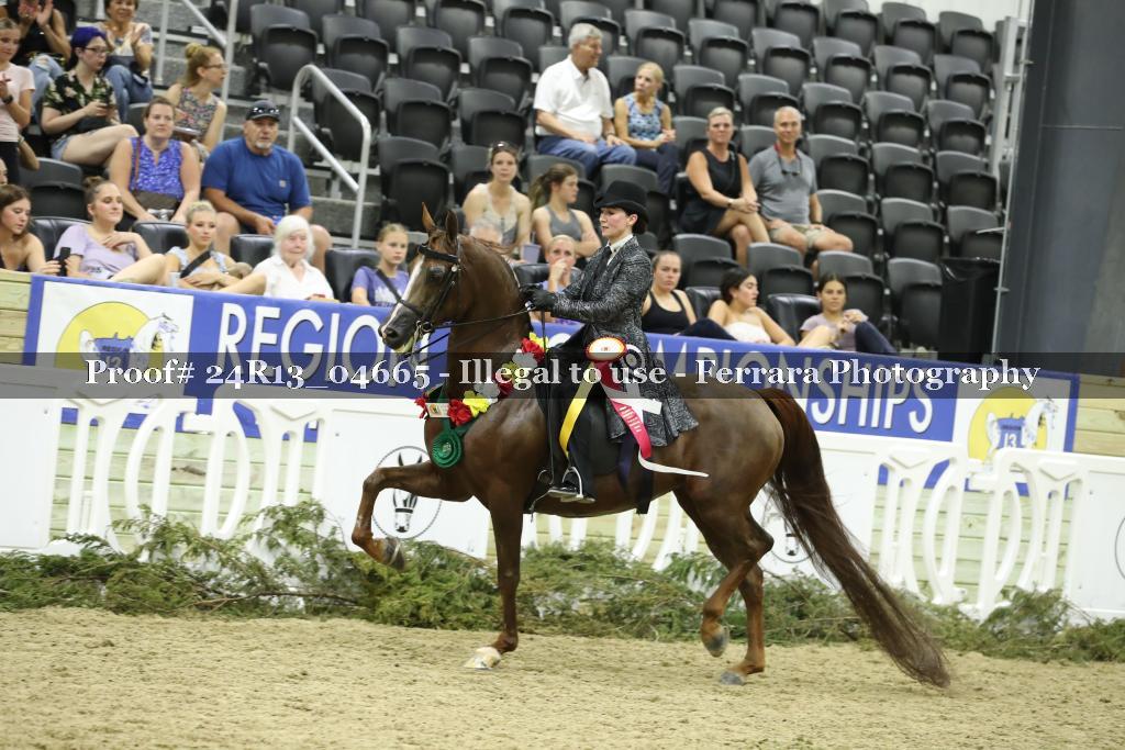 Proof 24R13_04665