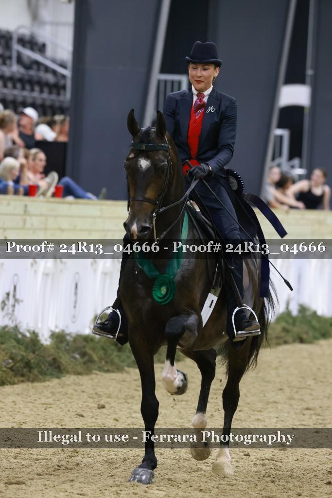 Proof 24R13_04666