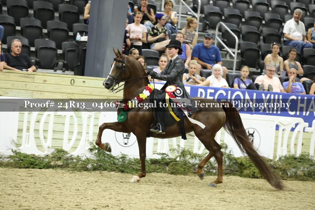 Proof 24R13_04667