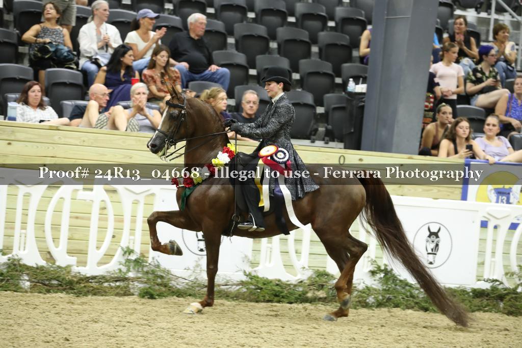 Proof 24R13_04668