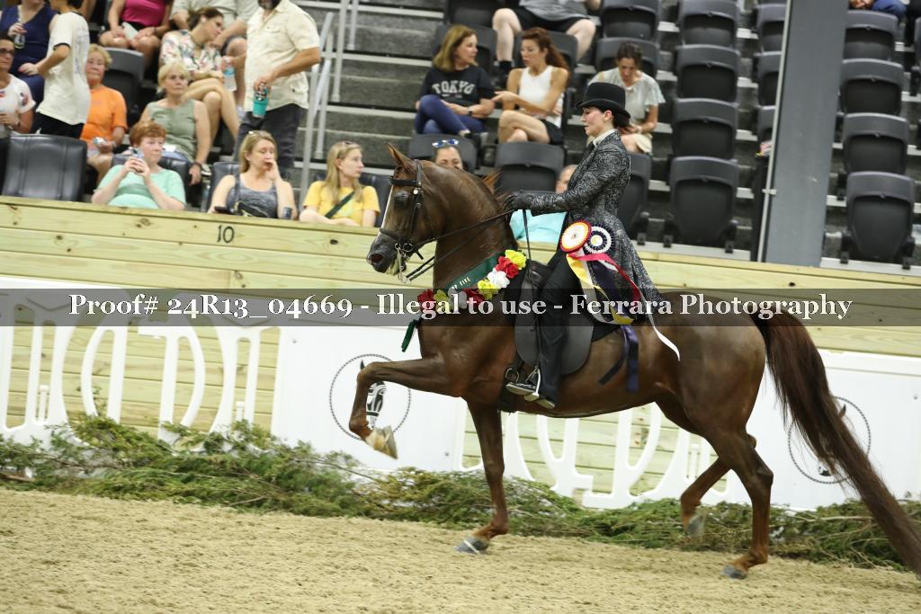 Proof 24R13_04669