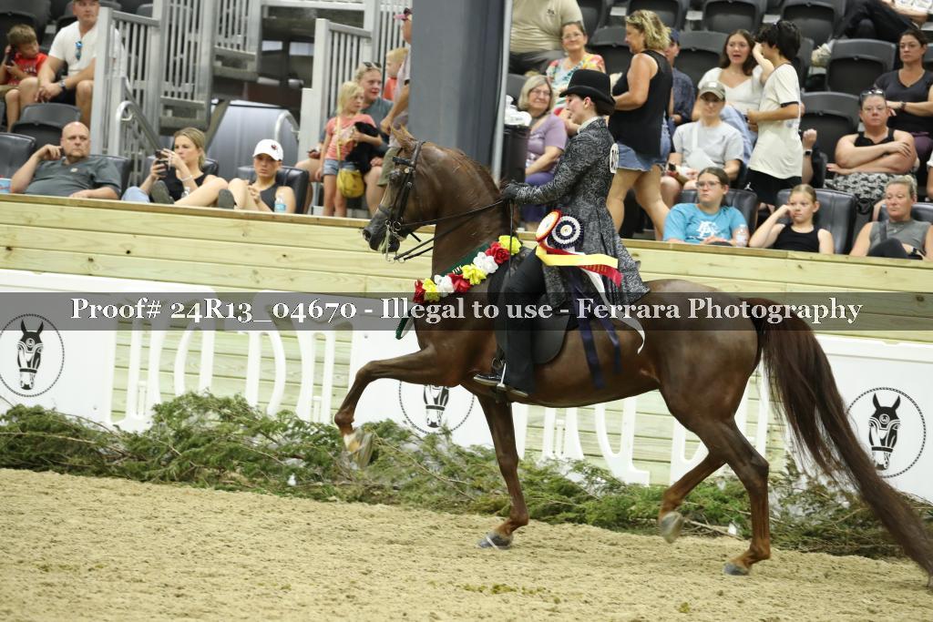 Proof 24R13_04670