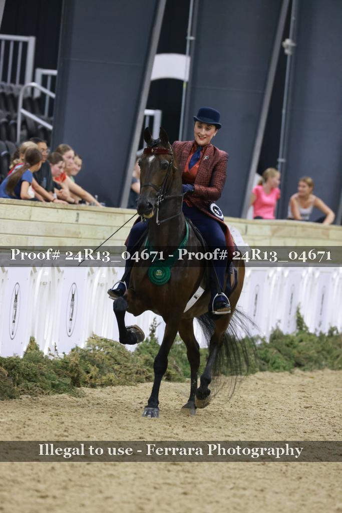 Proof 24R13_04671