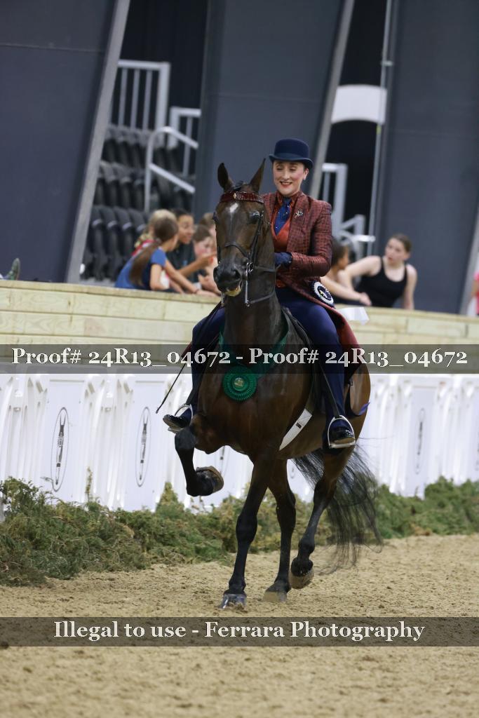 Proof 24R13_04672