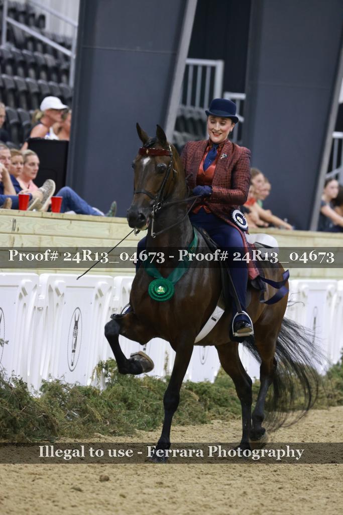 Proof 24R13_04673