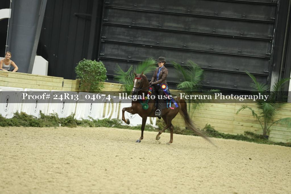 Proof 24R13_04674