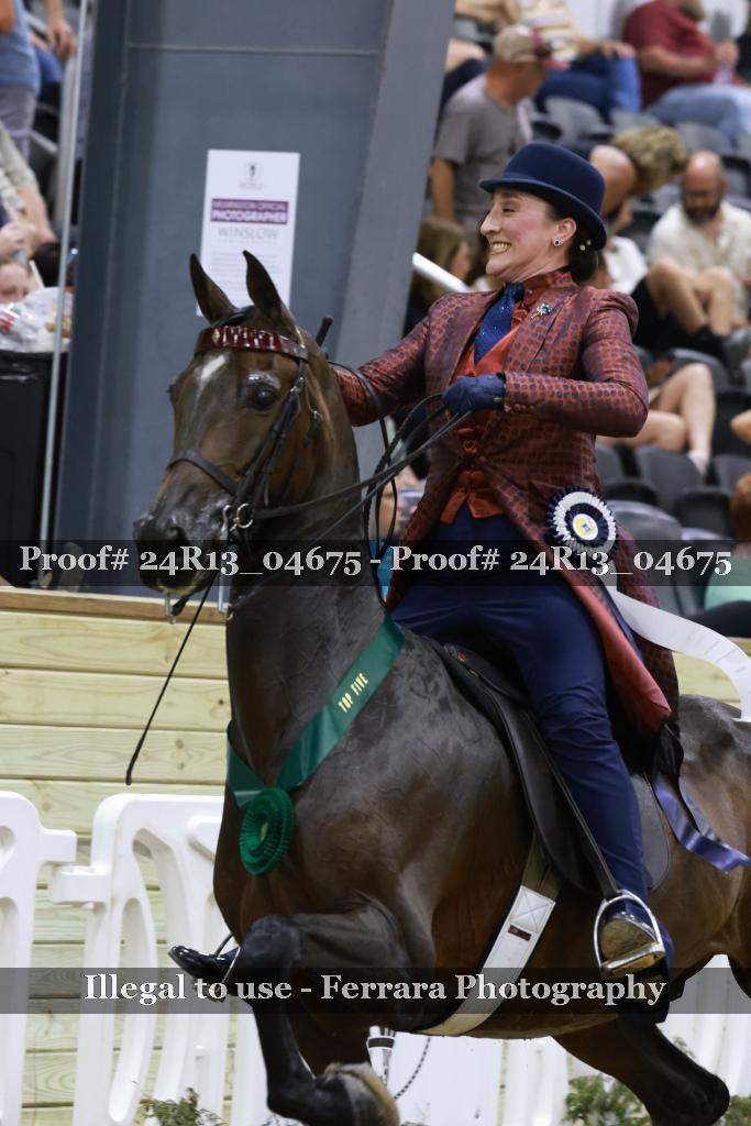 Proof 24R13_04675