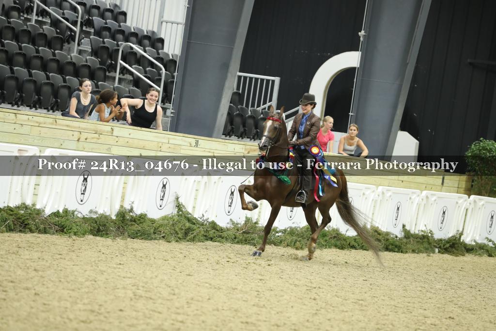 Proof 24R13_04676