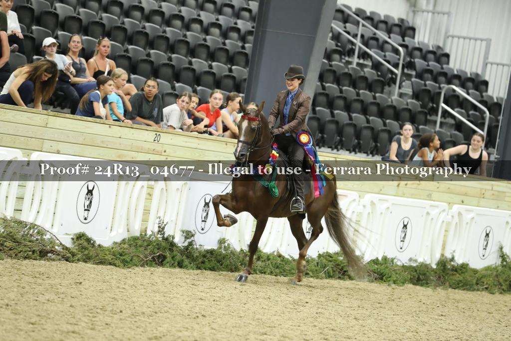 Proof 24R13_04677