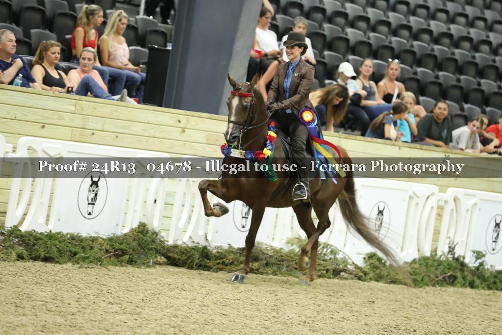 Proof 24R13_04678