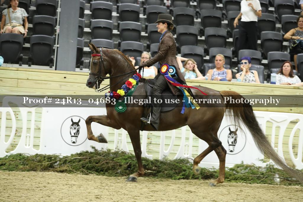 Proof 24R13_04683