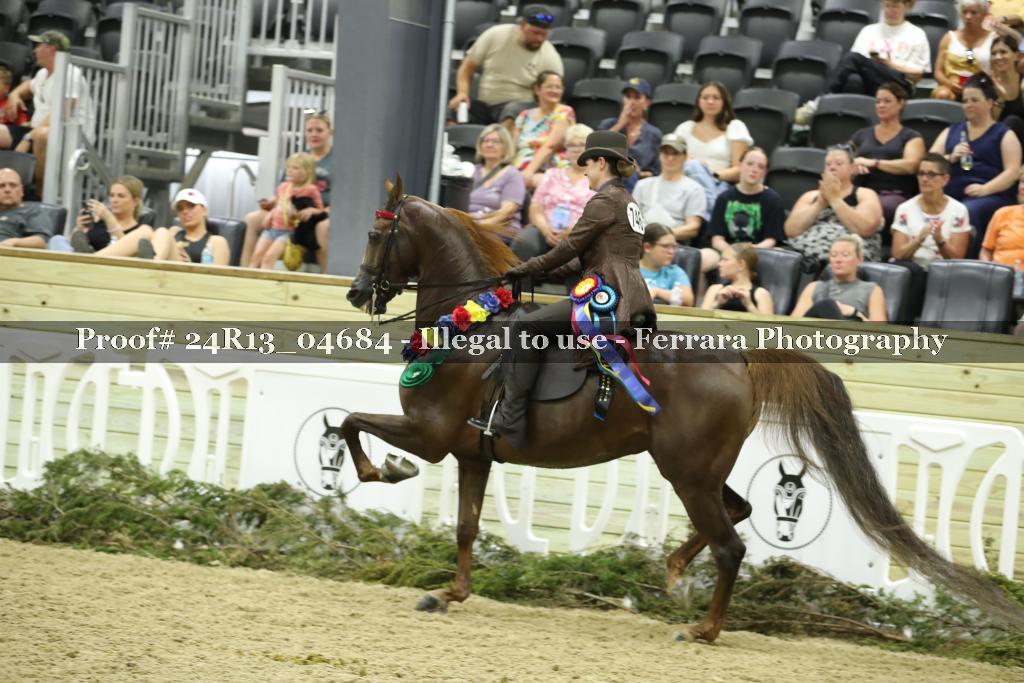 Proof 24R13_04684
