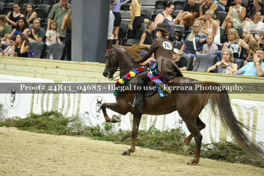 Proof 24R13_04685