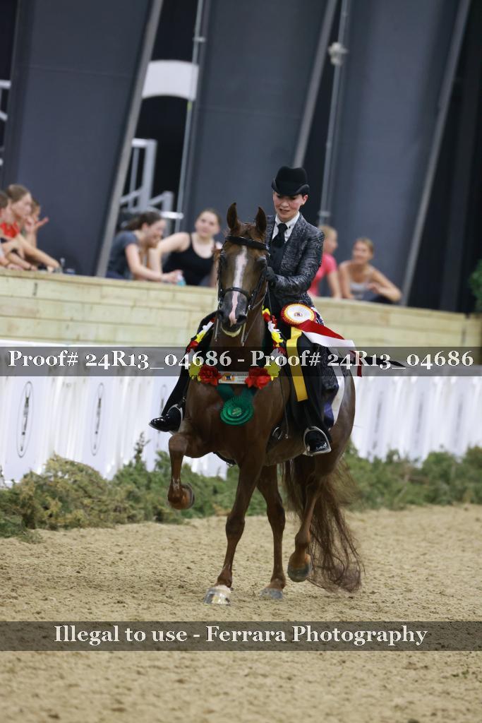 Proof 24R13_04686