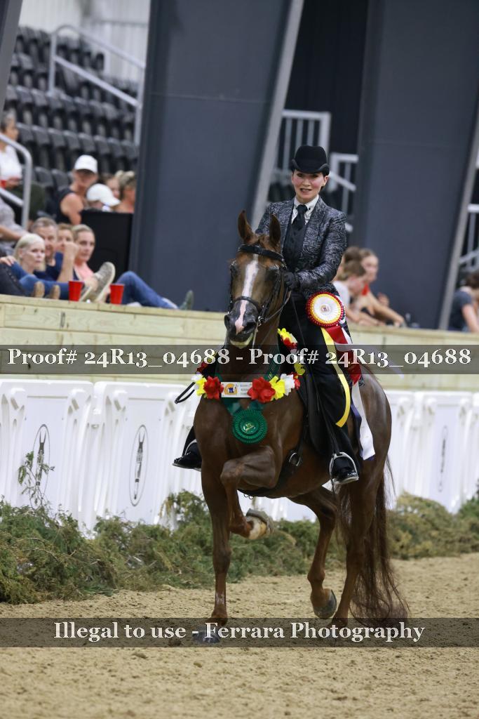 Proof 24R13_04688